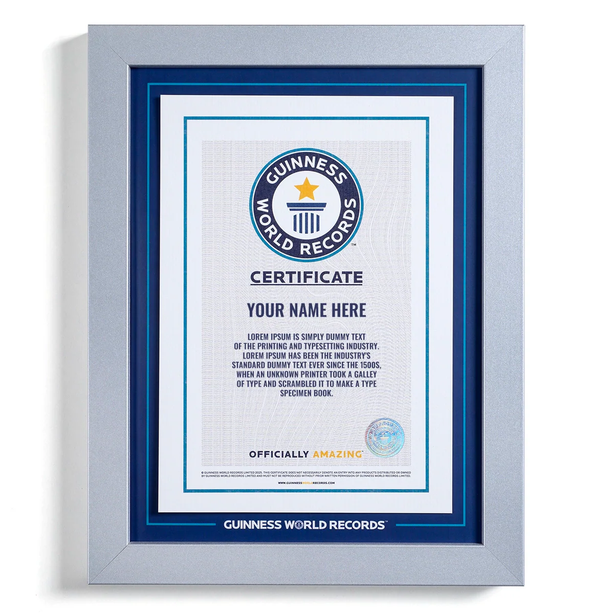 Record Participant Certificate - Image 5