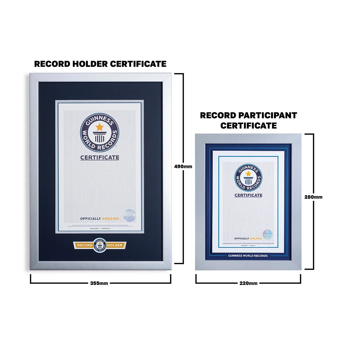 Record Participant Certificate - Image 11