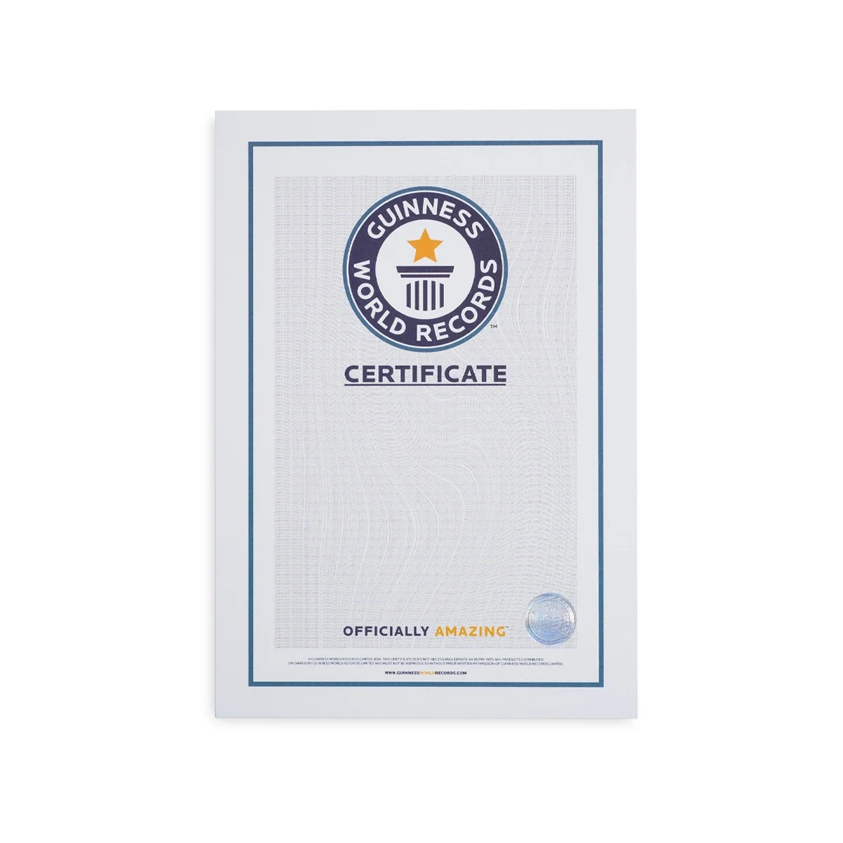 Record Holder Certificate - Image 3