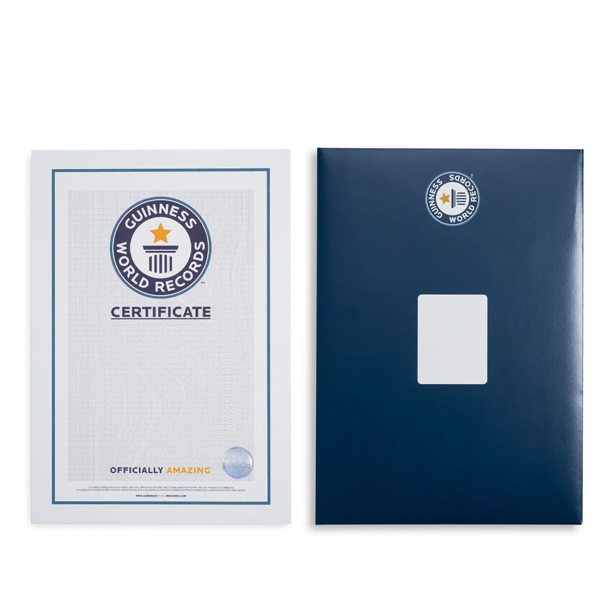 Record Holder Certificate - Image 4